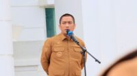 WhatsApp Image 2026-05-11 at 12.22.53